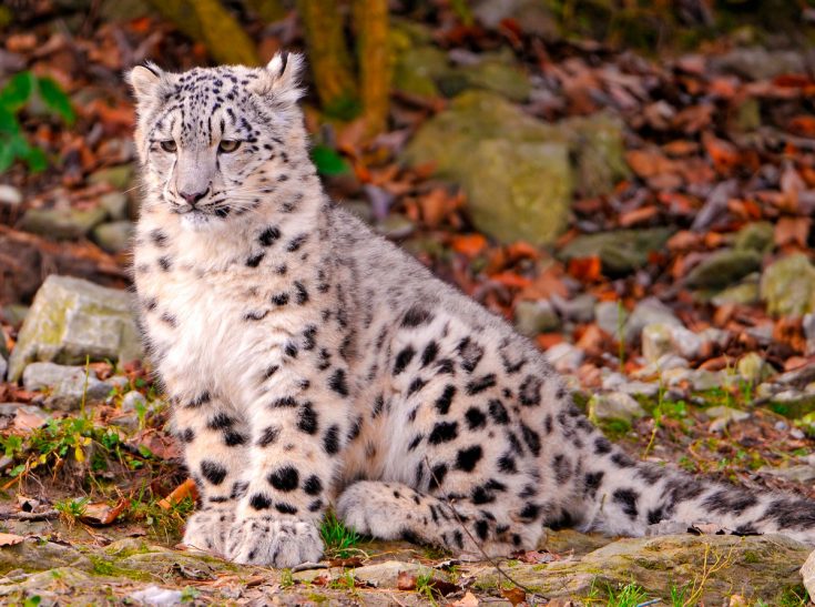 Клименко Сергей